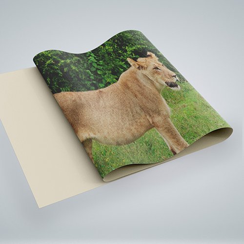 Poster Canvas